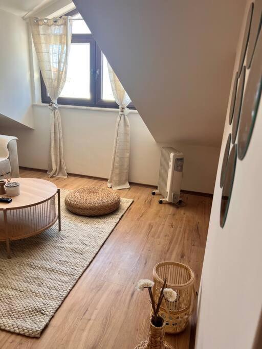 Cozy 1 Bedroom Apartment Next To The Gondola بانسكو المظهر الخارجي الصورة